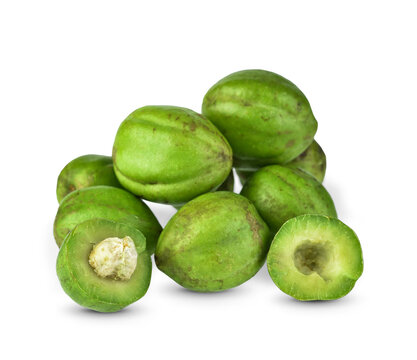 Chebulic Myrobalans, Myrolan Wood (Terminalia chebula Retz.) Fruit on transparen png, medicinal properties.