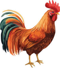 rooster vector art