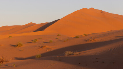 Sonnenaufgang über Sandddünen in der Sahara