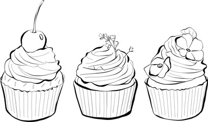 Hand-drawn Cupcake black and white Vector Illustration Set isolated for wedding elements