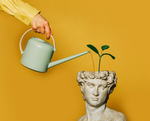 Antique statue of a young man with a flower sprout growing from his head