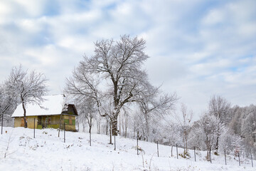 Fototapeta premium A small wooden cabin with a dark roof sits on a snow-covered hillside surrounded by frosted trees under a cloudy sky.