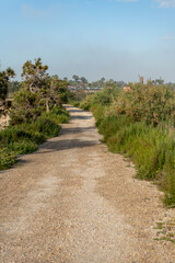 Beautiful scenery with winding gravel dirt road, Costa Blanca , Alicante, Spain