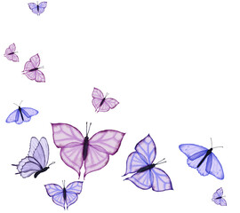 Pink and blue butterflies illustration