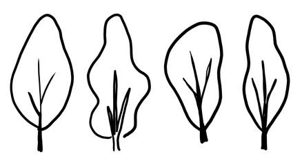 This is a line drawing of a tree.