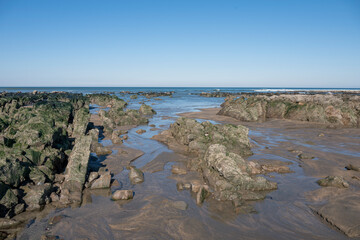 Walking through the rocks at low tide Widemouth