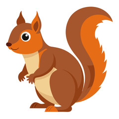 Cute cartoon squirrel vector illustration for kids wildlife animal drawing design and print material use