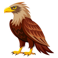 Majestic eagle vector illustration for graphic design projects and educational resources for kids and adults