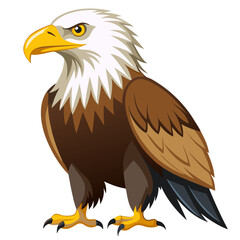 Download beautiful bald eagle vector illustration for graphic design projects and creative artwork now