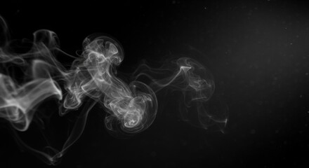 Fototapeta premium Black background smoke texture with backgrounds