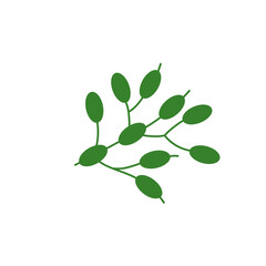 Lymph node cancer icon. Lymphocytic neoplasm sign. Vector illustration.