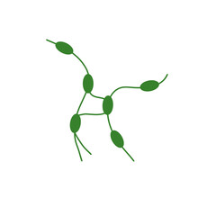 Lymph node cancer icon. Lymphocytic neoplasm sign. Vector illustration.