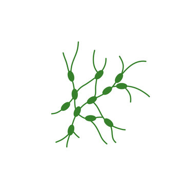 Lymph node cancer icon. Lymphocytic neoplasm sign. Vector illustration.