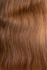 the texture of brown-haired women with a light red hue and a wavy structure. close-up of a girl's long hair.