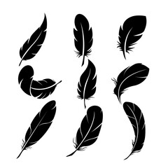 vector set of feathers feathers icons black silhouettes hand drawn  sketch