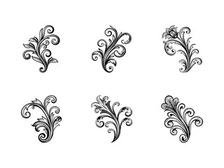 Elegant scrollwork decoration silhouette isolated on white background