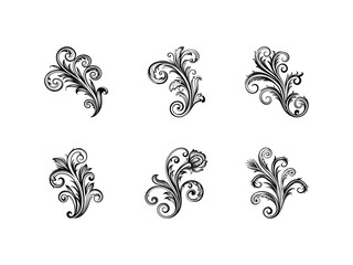 Ornamental vector swirl silhouette isolated on white background