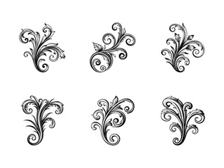Rococo style ornament silhouette isolated on white background