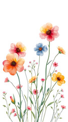 Fototapeta premium watercolor wildflowers png clipart on transparent background elegant spring summer themed digital design easy layering and integration