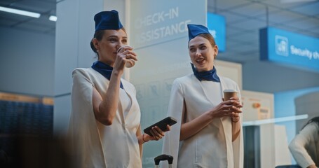 Two Beautiful Flight Attendants in Elegant Uniforms Talking, Waiting for Commercial Flight. Woman...