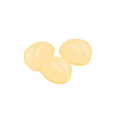 Delicious macadamia nuts. Vector illustration of healthy snacks.