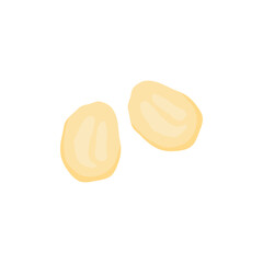 Fototapeta premium Delicious macadamia nuts. Vector illustration of healthy snacks.