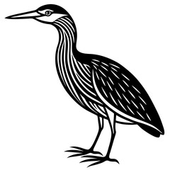 Bittern Line Art Vector Black and White Drawing Illustration Design