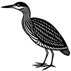 Bittern Line Art Vector Black and White Drawing Illustration Design