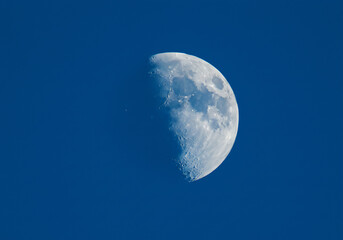 Vibrant Daytime Moon Against a Deep Blue Sky Lunar Phases, Celestial Body, Astronomy, Space.
