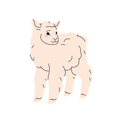 Fluffy baby sheep grazes in pasture. Cute lamb stands on barnyard, ranch. Adorable little ewe is in village. Amusing furry farm animal, livestock. Flat isolated vector illustration on white background