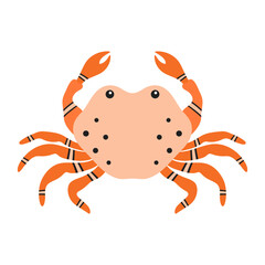 crab isolated, flat style