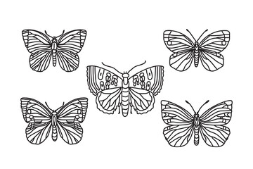 Obraz premium Line art butterflies collection, black outline isolated on white background. Hand drawn butterfly set vector illustration. Graphic design doodle elements for Birthday Coloring Page Greeting Card Print