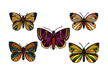 Botanical butterflies collection isolated on white background. Hand drawn colorful butterfly set vector illustration.Graphic design elements for Birthday Greeting Card Print Fashion Icon Symbol Poster