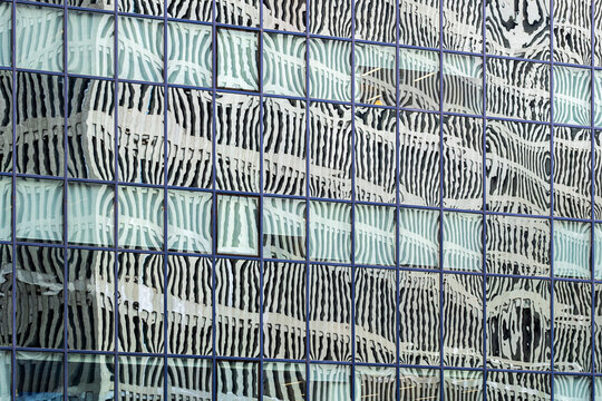 Curved reflections in glass panels form an abstract composition of symmetry, distortion and architectural density.