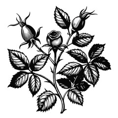 Seamless black and white floral pattern with vintage leaf and flower silhouette