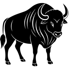 black and white bull