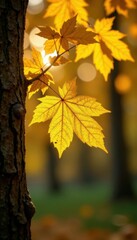 Shiny yellow leaf gold foil texture on tree, foil, yellow