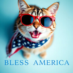  Fourth of July cat with American flag accessories and Bless America' message Created by Generative AI