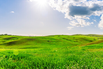 Obraz premium green spring hills with young grass and amazing growing fields and hills with beautiful bright cloudy sunset on background of rural landscape