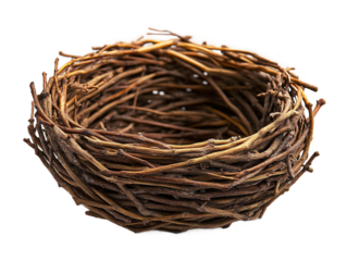  Natural bird's nest with intricately woven twigs on transparent background, perfect for environmental protection campaigns and wildlife preservation 