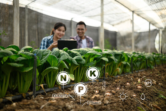 Farmers using digital tablet to monitor nutrient levels and soil conditions in a greenhouse