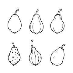 Elegant abiu fruit illustration in fine lines