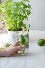 Hand holding glass with mojito cocktail drink, kitchen table with mint in pot on background, authentic lifestyle