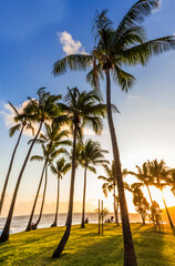 Coucher de soleil sous les cocotiers de Grand’Anse, Île de la Réunion 