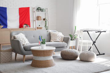 Interior of living room with sofa, plants and French flags