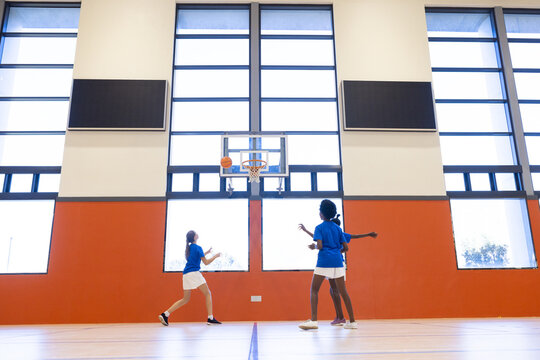 Fototapeta Playing basketball in school gym, diverse girls shooting hoops and practicing teamwork