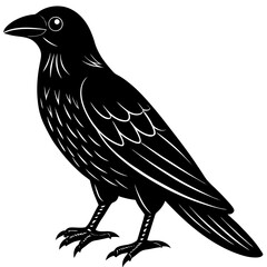 Crow Line Art Vector Black and White Drawing Illustration Design
