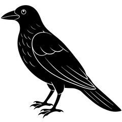Crow Line Art Vector Black and White Drawing Illustration Design