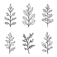 Amaranth Leaf Vector Line Art Minimalistic Nature Design