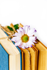 stack large pile of printed literary old books tied with rope and lying on light background, book...